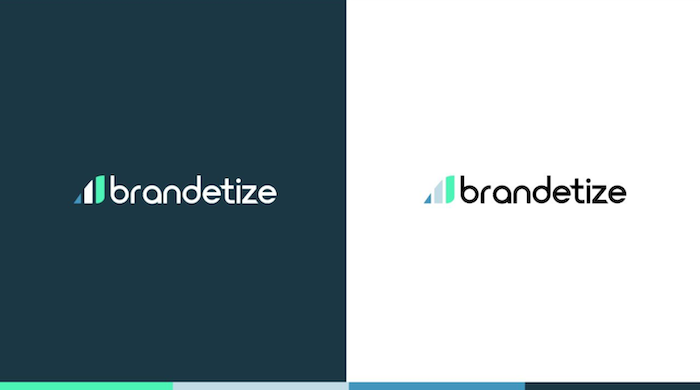 brandetize-logo-design-1