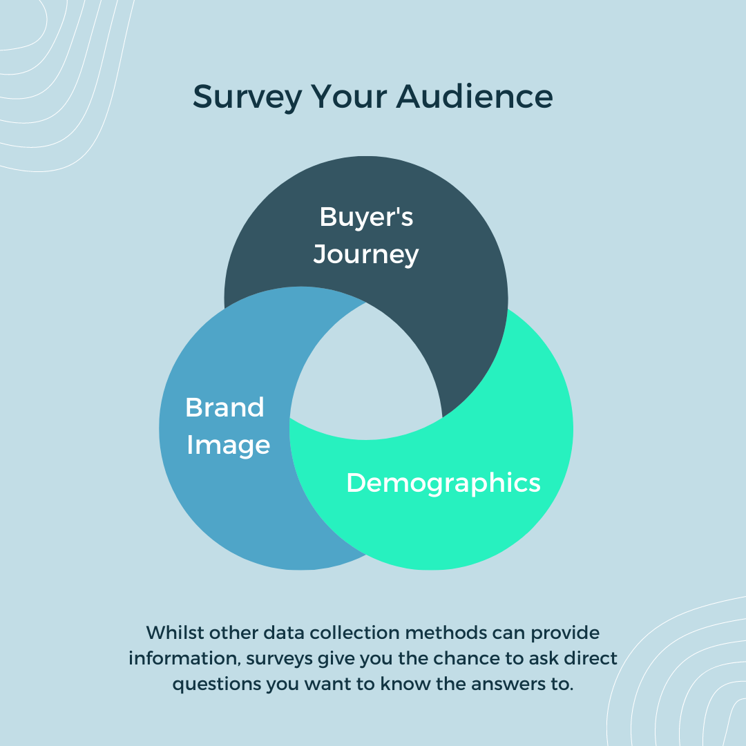survey your audience